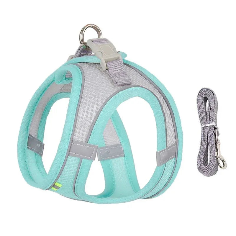 Leash & Harness Set for Small Dogs - Happy Tails - paws & love