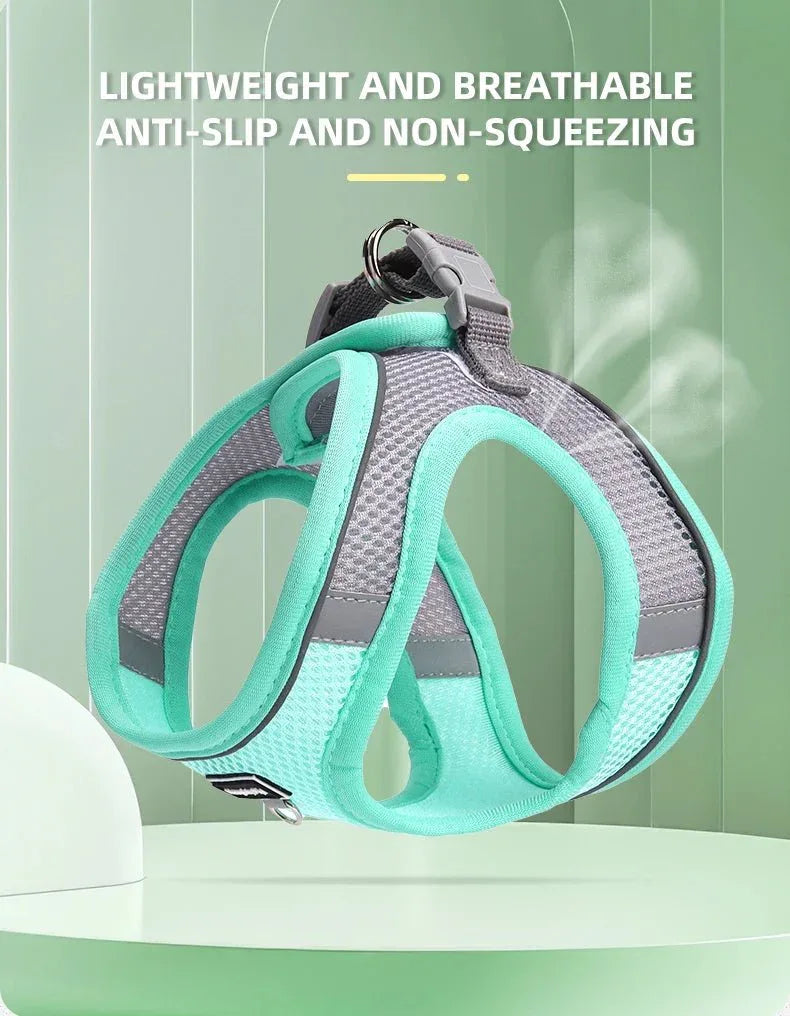 Dog Harness for Small dog - Happy Tails - paws & love