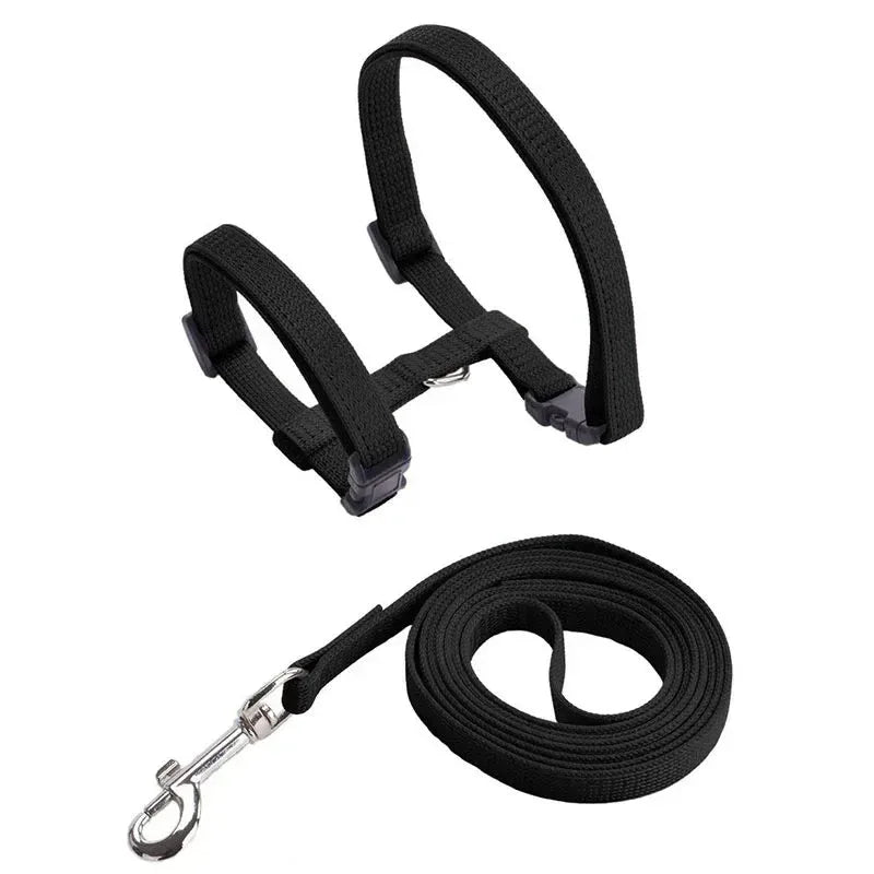 Kitten Adventures Harness & Leash Set - Happy Tails