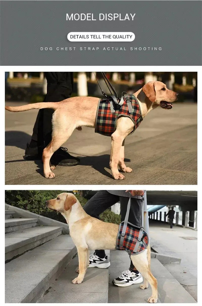 Dog Support Harness - Happy Tails