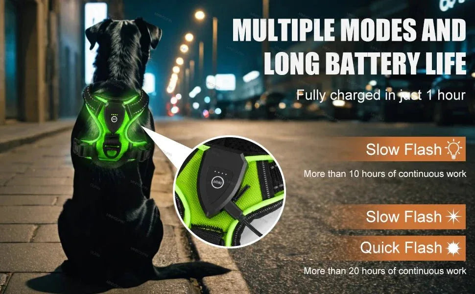 LED Dog Harness - Happy Tails - paws & love