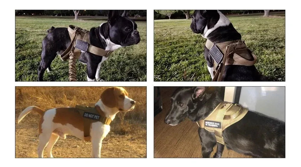 Tactical Dog Harness - Happy Tails - paws & love