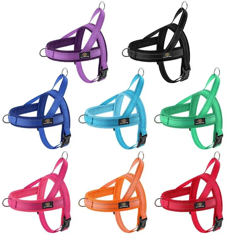 A Small Dog Harness for Comfort and Control - Happy Tails - paws & love