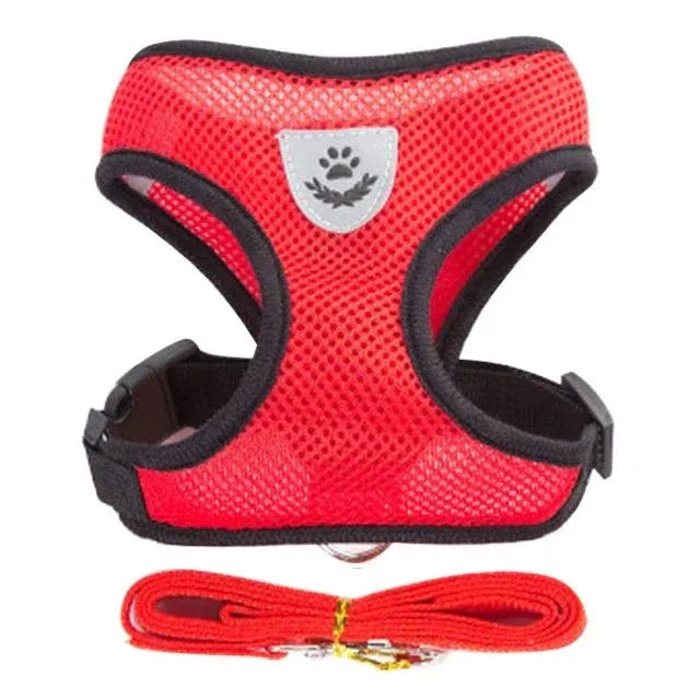 Feline Freedom Cat Harness - Happy Tails - paws & love