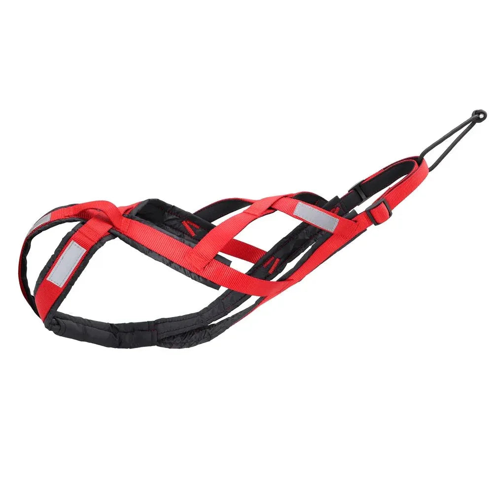 Dog Sled Harness - Happy Tails - paws & love
