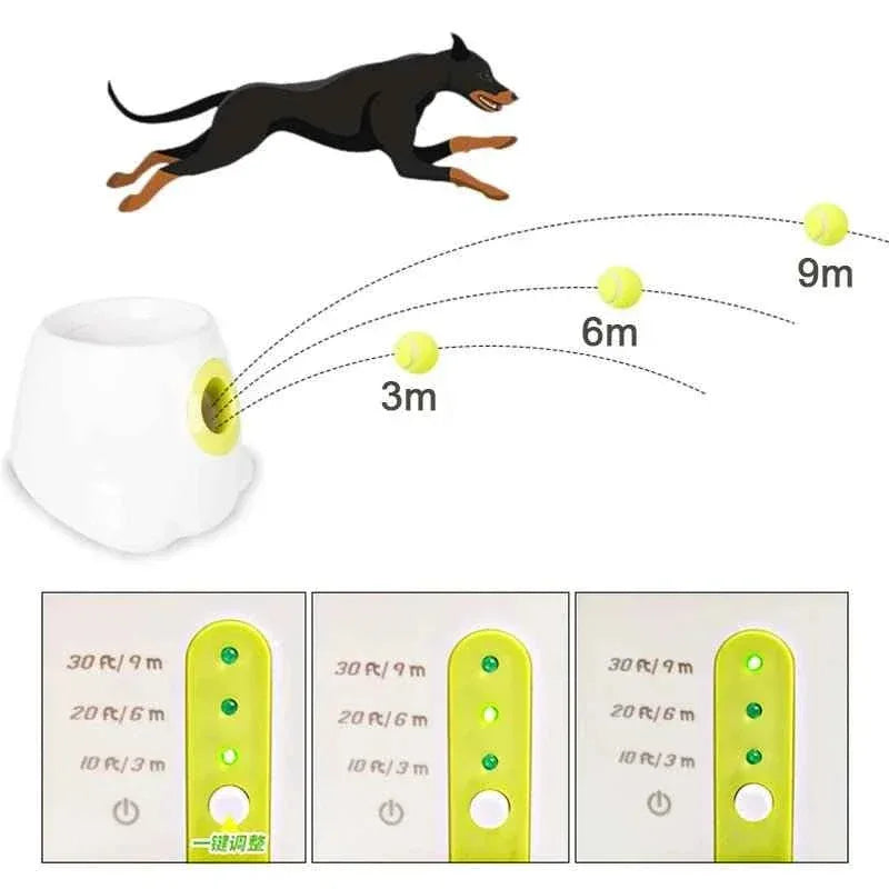 Automatic Dog Ball Launcher - Happy Tails - paws & love