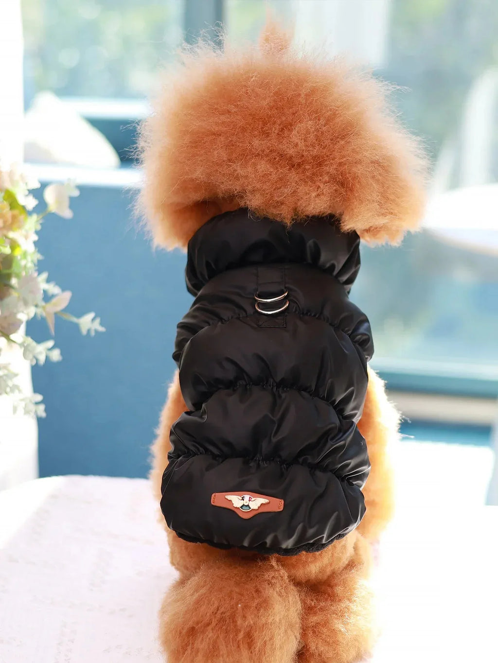CozyPaws Premium Winter Coat - Happy Tails