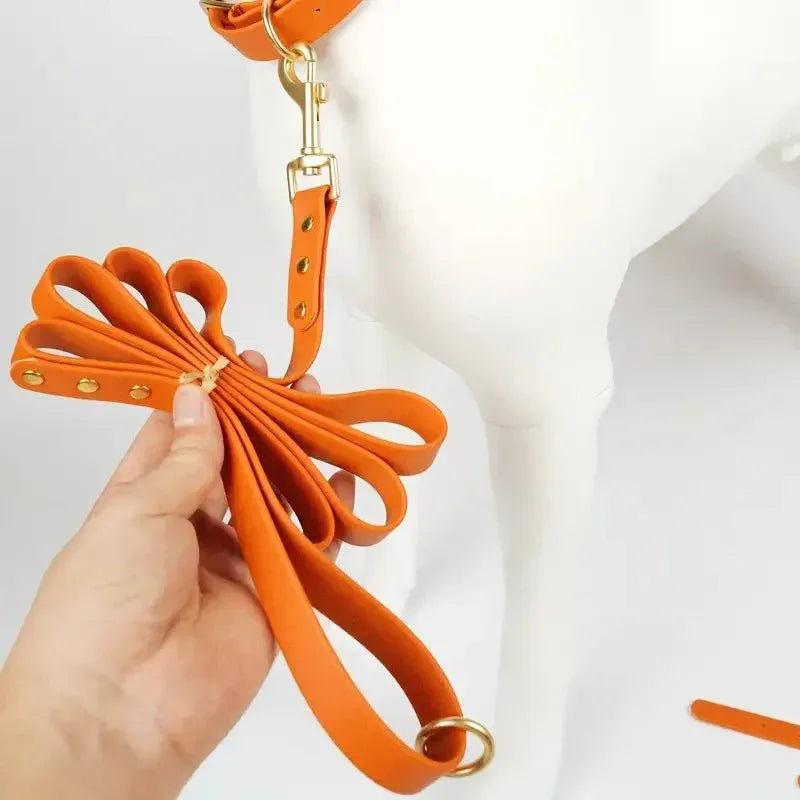 Dog Leash - Happy Tails - paws & love