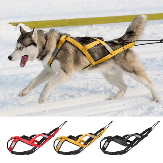 Dog Sled Harness - Happy Tails - paws & love