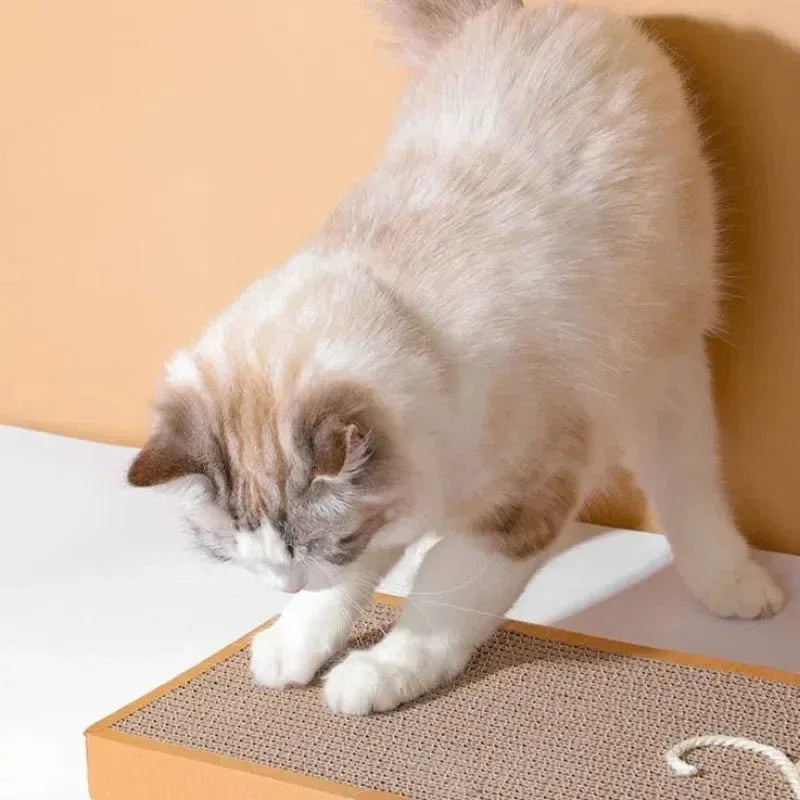 Cat Scratching Board - Happy Tails - paws & love