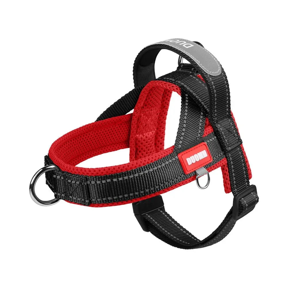 Dogs Harness Saddle - Happy Tails - paws & love