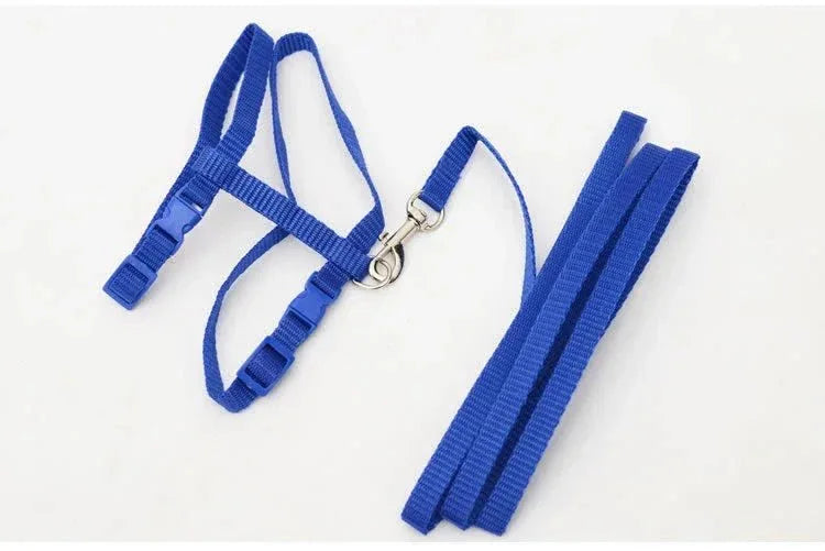 Kitten Adventures Harness & Leash Set - Happy Tails
