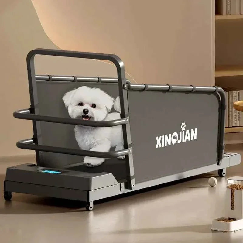 Pet Treadmill for Dogs and Cats - Happy Tails - paws & love
