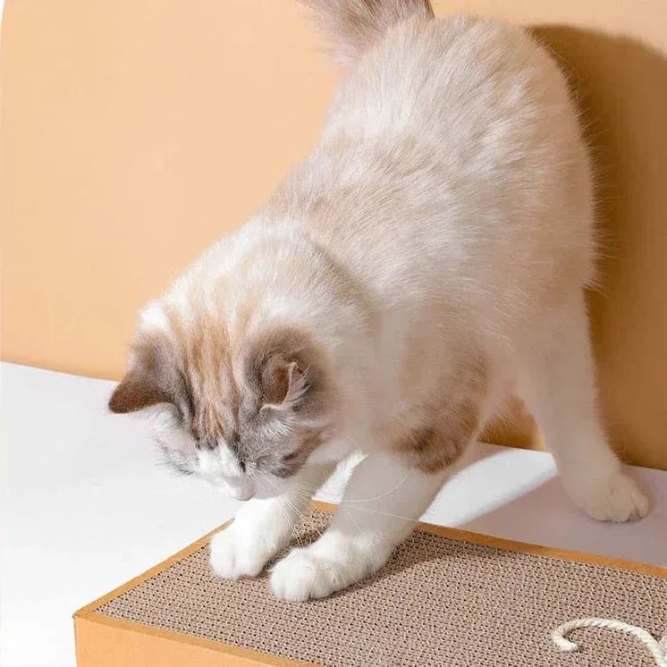 Cat Scratching Board - Happy Tails - paws & love