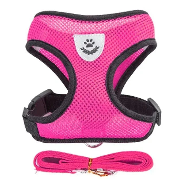 Dog Harness for Small Dogs - Happy Tails - paws & love