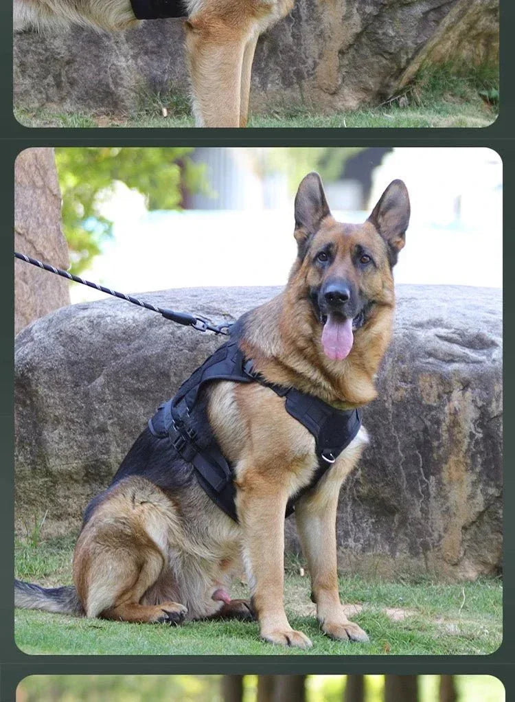 No-Pull Service Dog Vest - Happy Tails