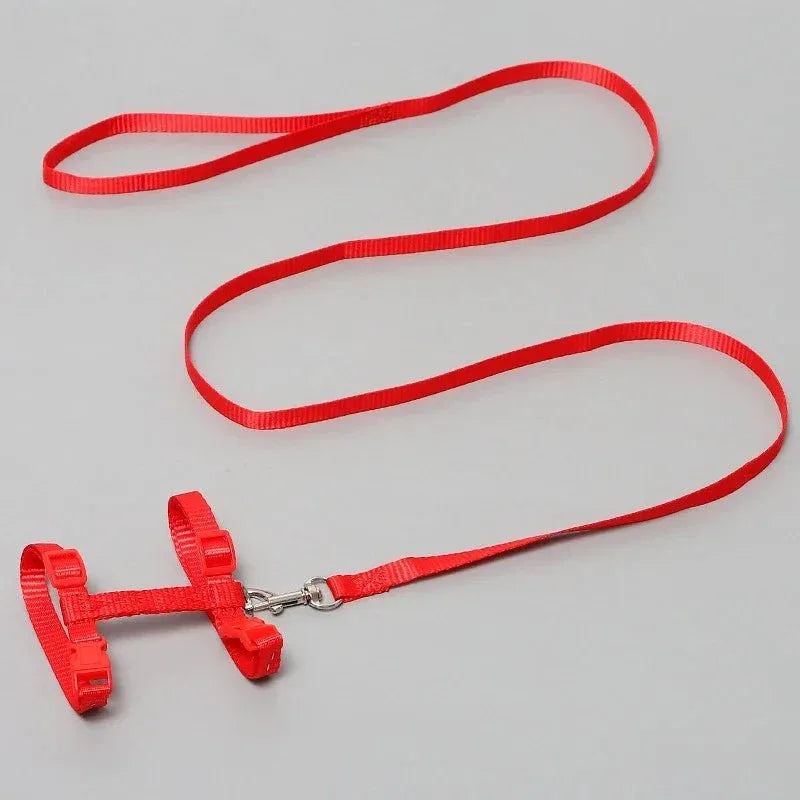 Kitten Adventures Harness & Leash Set - Happy Tails