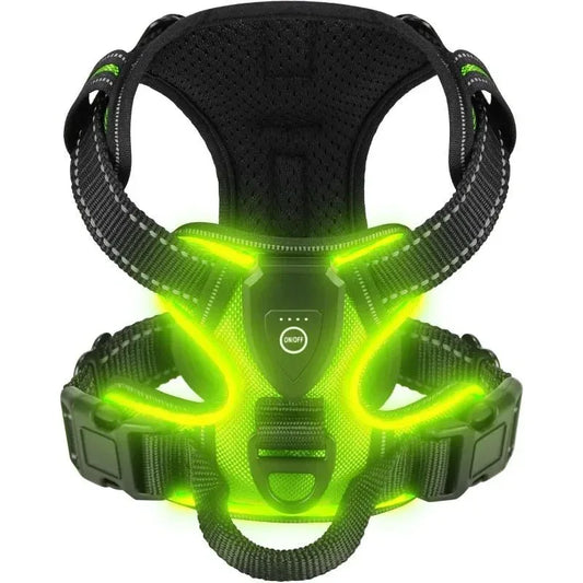 LED Dog Harness - Happy Tails - paws & love