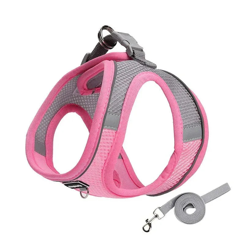 Dog Harness for Small dog - Happy Tails - paws & love