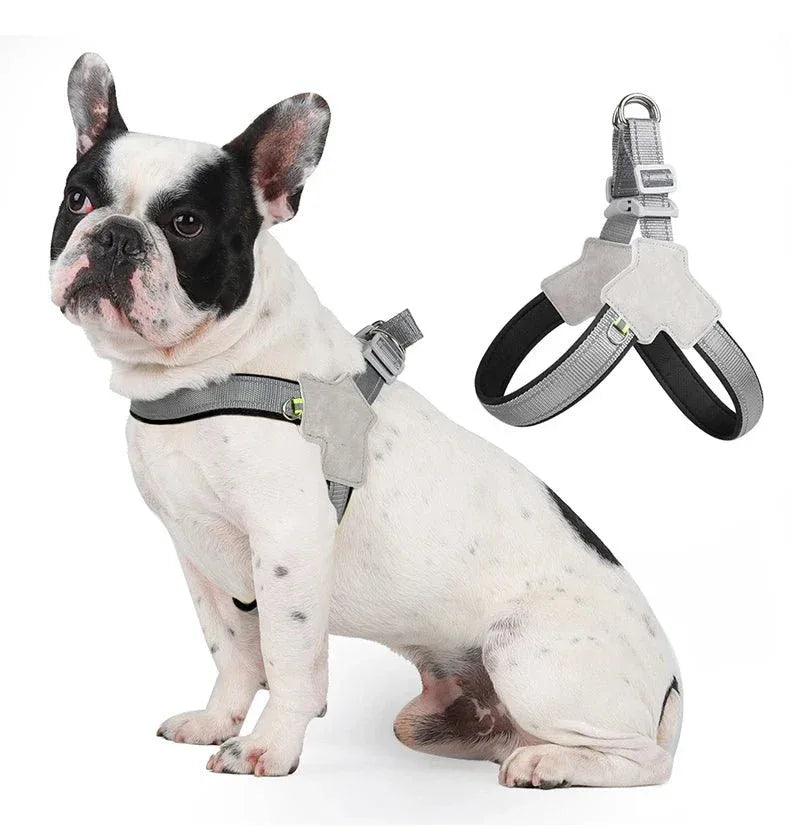 Pet Dog Harness - Happy Tails - paws & love