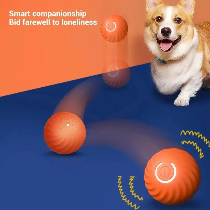 Automatic Dog Toy Ball - Happy Tails - paws & love