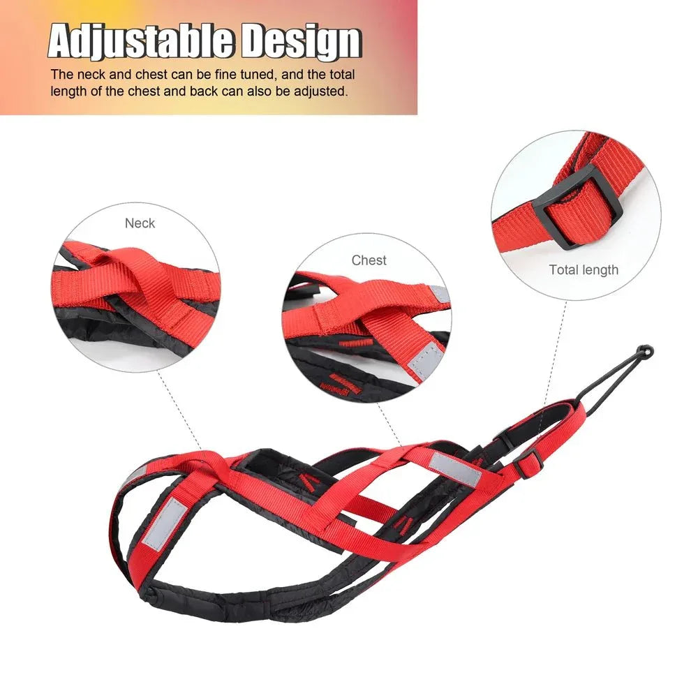 Dog Sled Harness - Happy Tails - paws & love