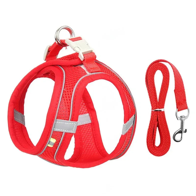 Leash & Harness Set for Small Dogs - Happy Tails - paws & love