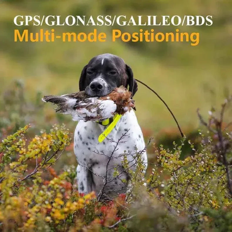 Wireless Dog Fence GPS - Happy Tails - paws & love