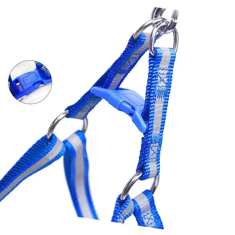 Dog Harness for Small Dogs - Happy Tails - paws & love