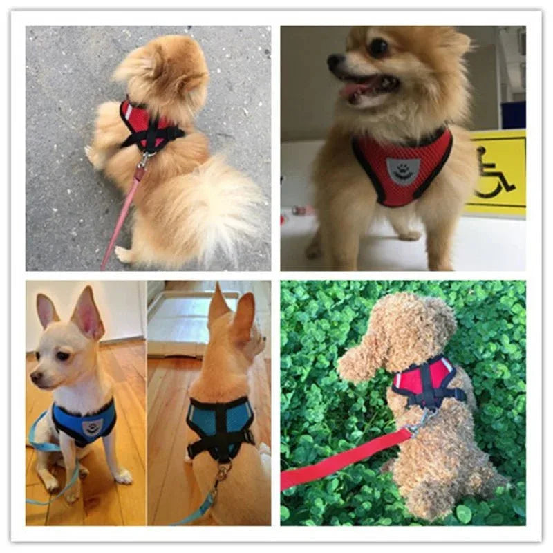 Cat & Dog Harness - Happy Tails - paws & love