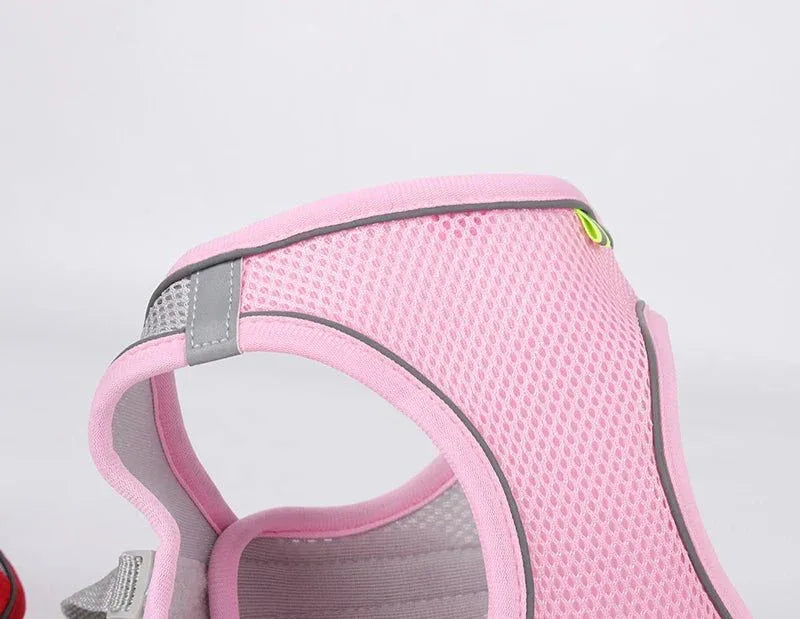 Leash & Harness Set for Small Dogs - Happy Tails - paws & love