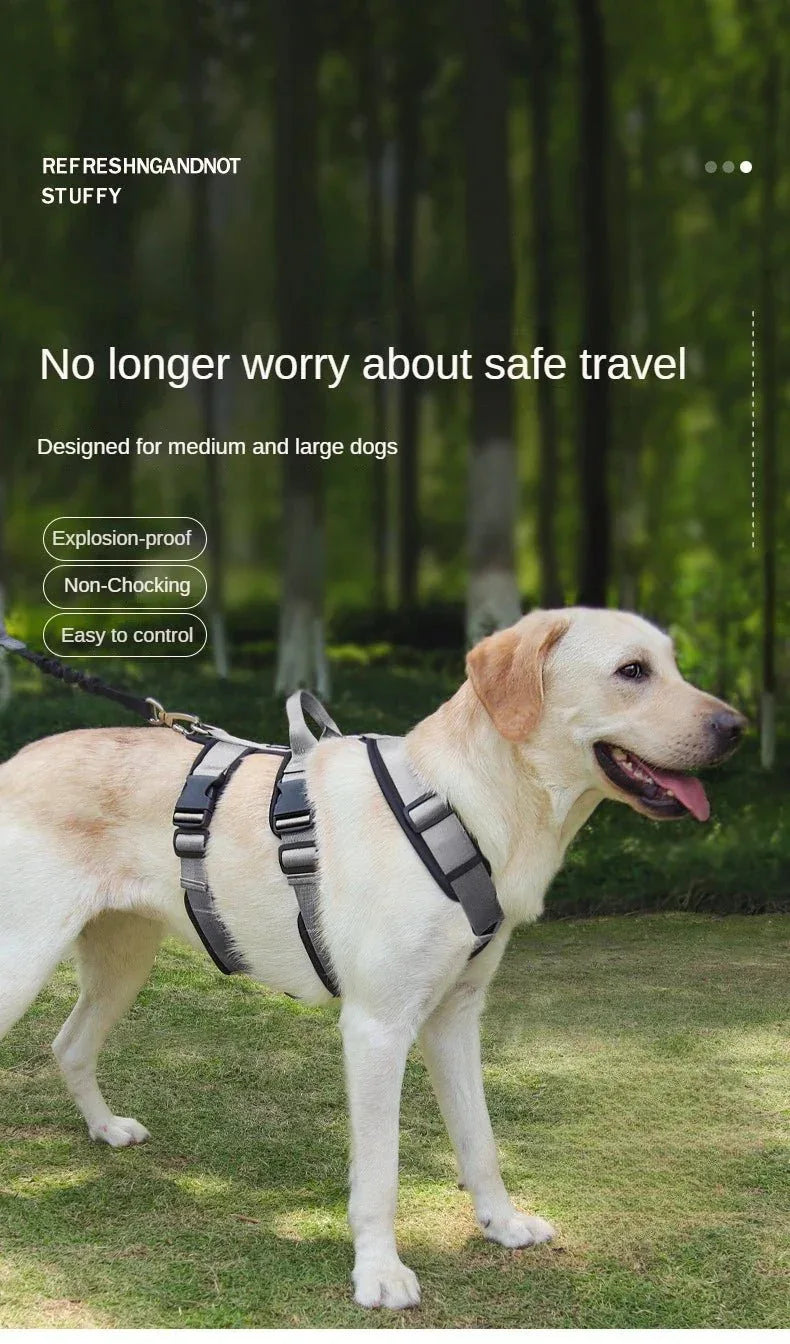 Reflective Pet Harness for Easy Control - Happy Tails