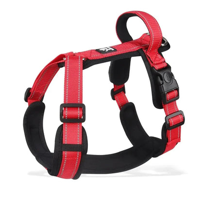 Harnesses and Wear Necklaces - Happy Tails - paws & love