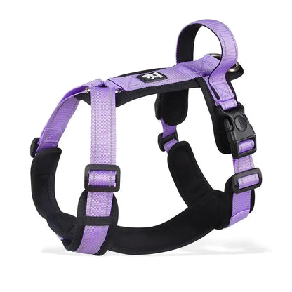 Harnesses and Wear Necklaces - Happy Tails - paws & love