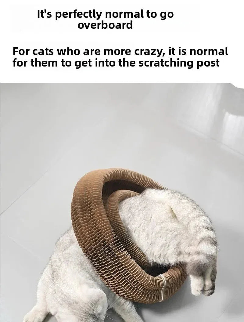 Cat Scratching Board - Happy Tails - paws & love