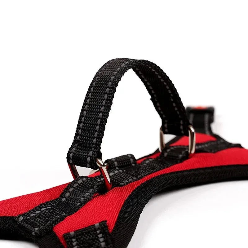 Saddle Dog Harness - Happy Tails - paws & love