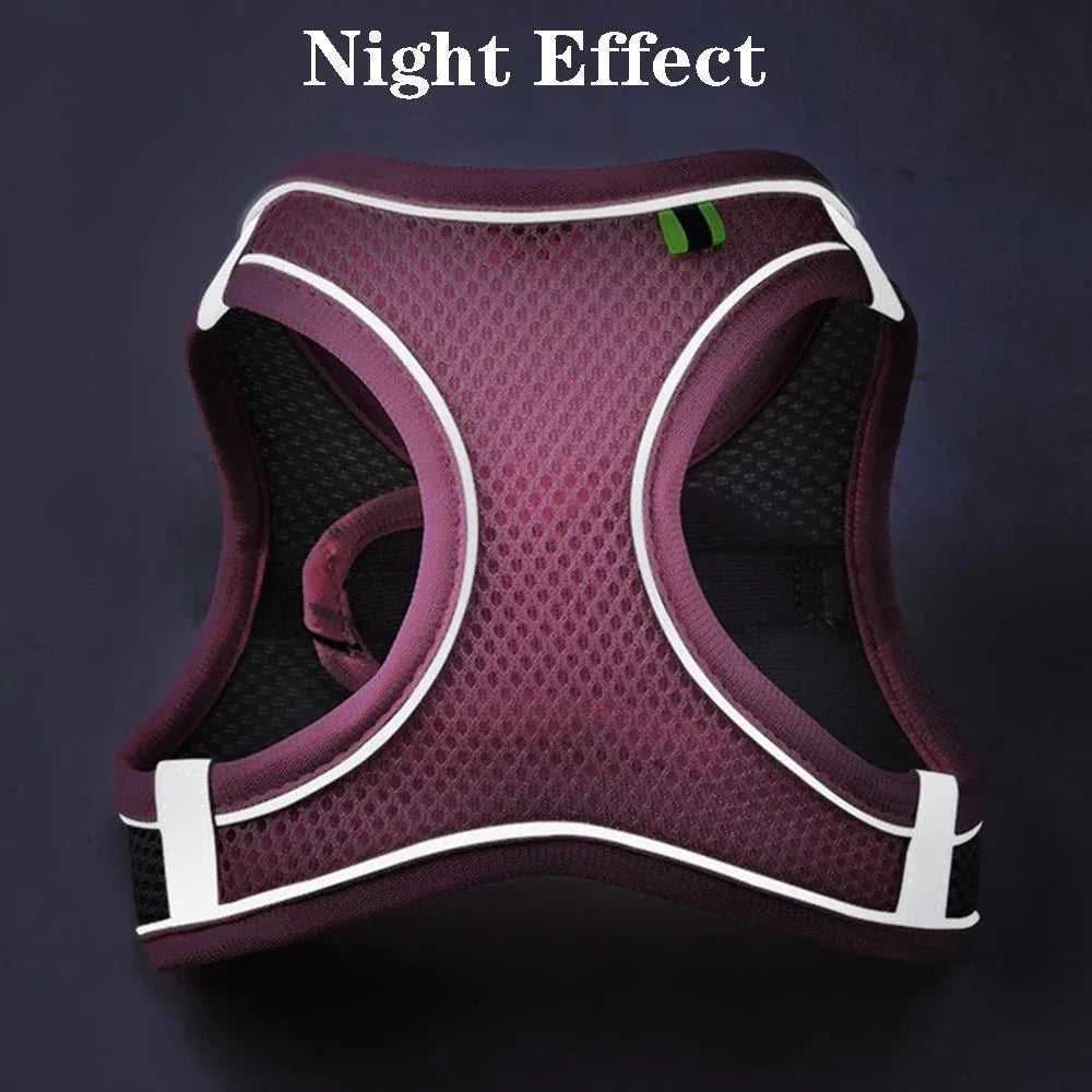 Cat & Dog Harness Vest - Happy Tails - paws & love