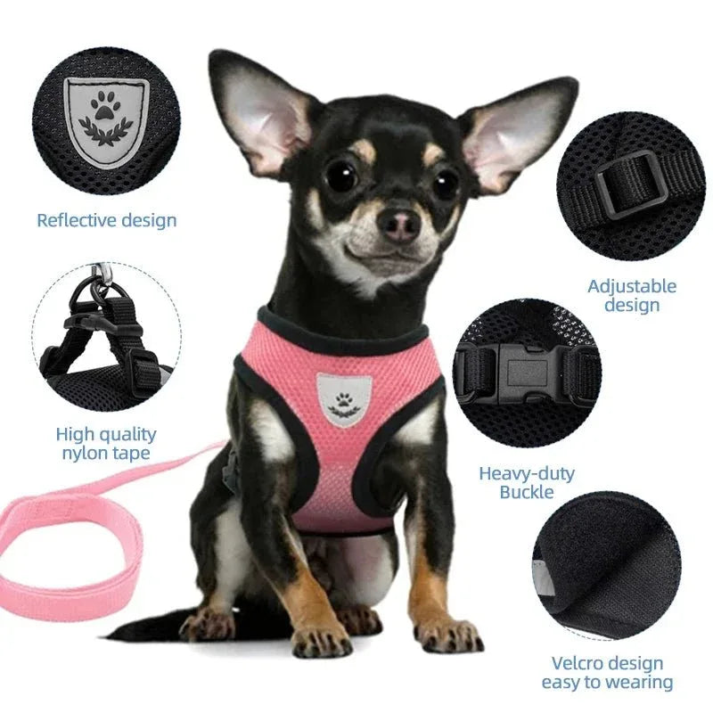 Dog Harness for Small Dogs - Happy Tails - paws & love