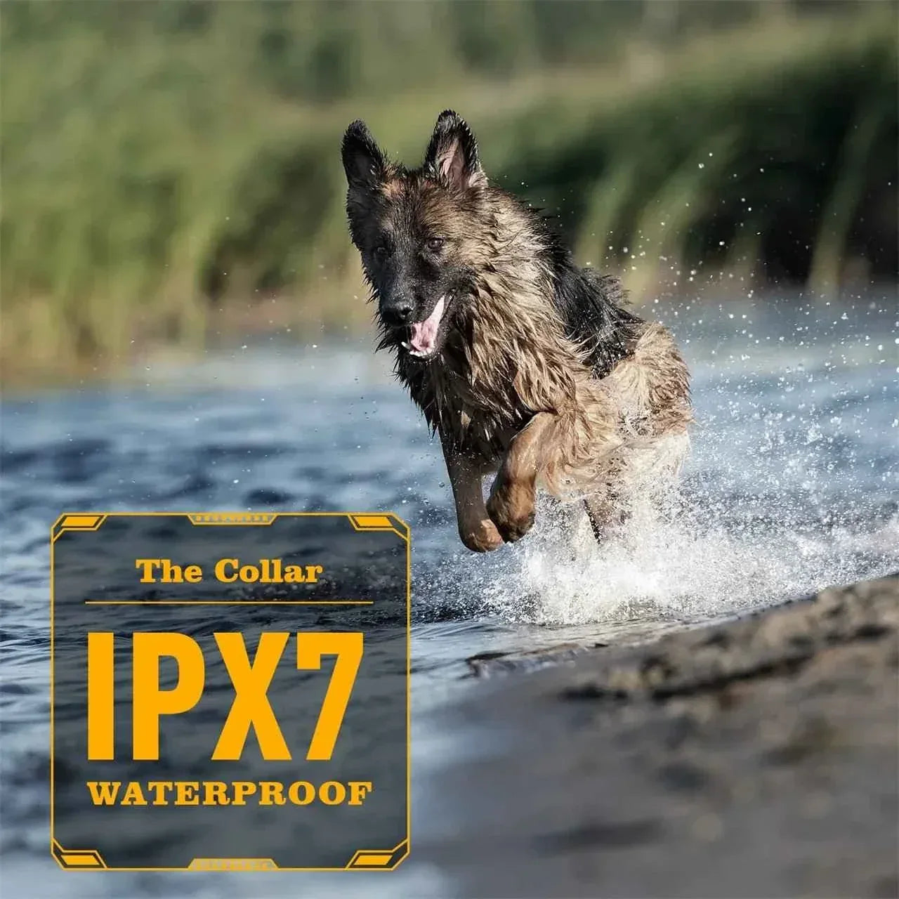 Electric Shock Collar for Large Dogs - Happy Tails