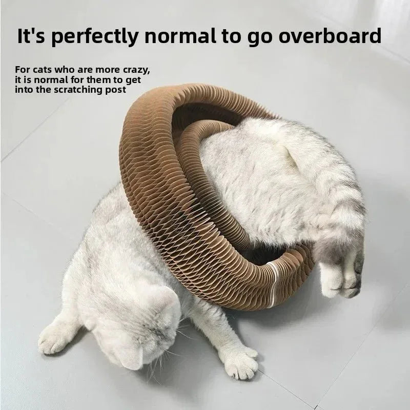 Cat Scratching Board - Happy Tails - paws & love