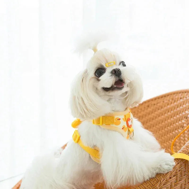 Little Harness for Stylish Pets - Happy Tails
