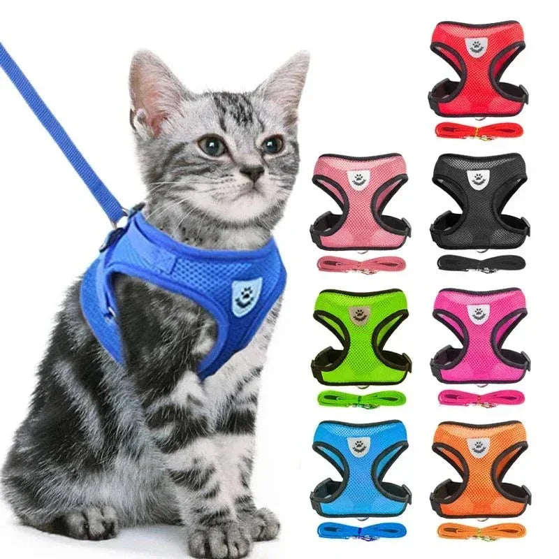 Feline Freedom Cat Harness - Happy Tails - paws & love