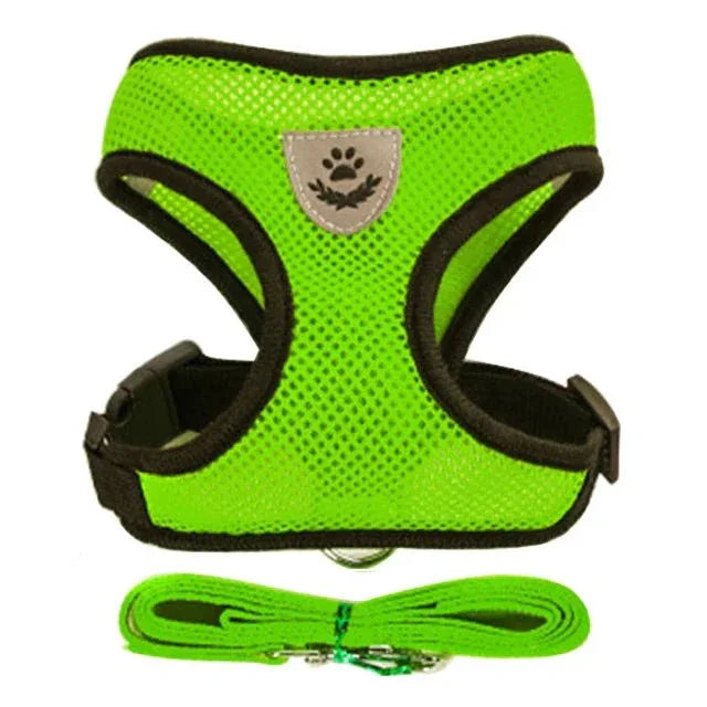 Cat Harness for Outdoor Adventures - Happy Tails - paws & love
