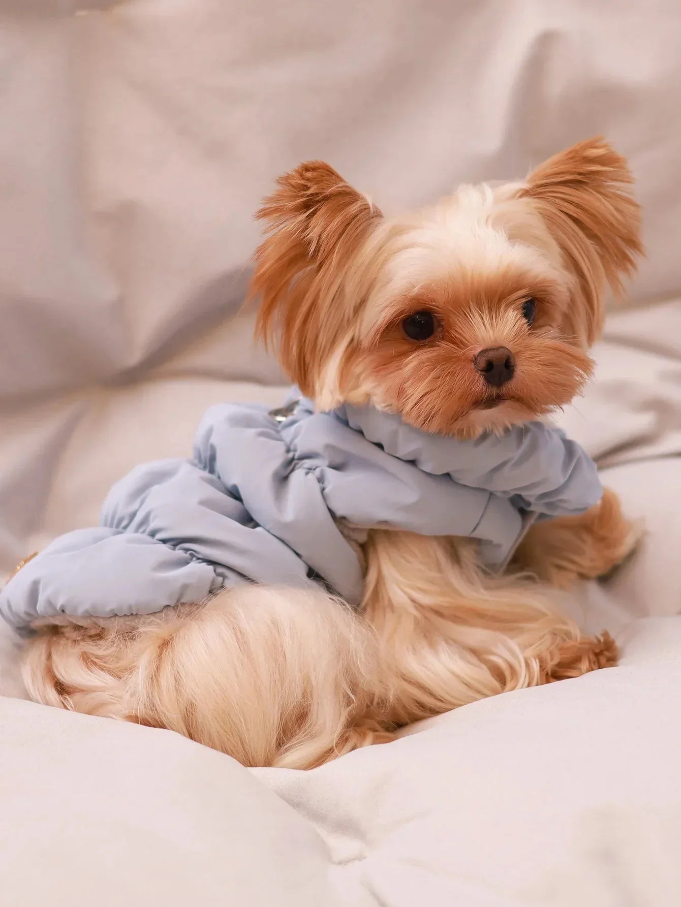 CozyPaws Premium Winter Coat - Happy Tails