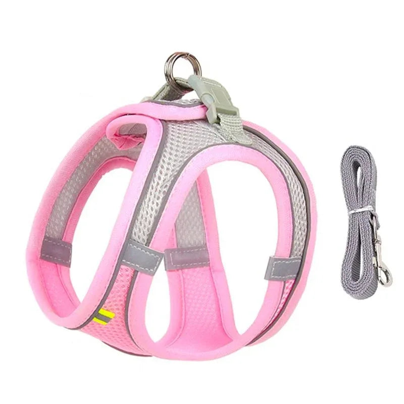 Leash & Harness Set for Small Dogs - Happy Tails - paws & love