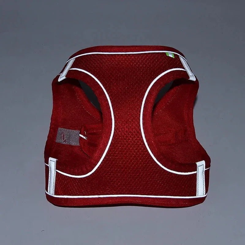 Leash & Harness Set for Small Dogs - Happy Tails - paws & love