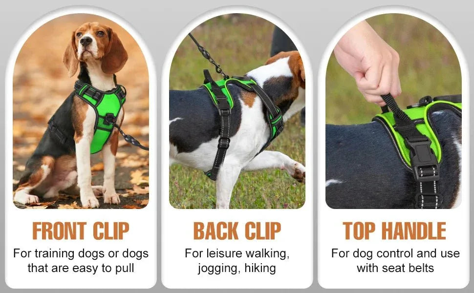LED Dog Harness - Happy Tails - paws & love