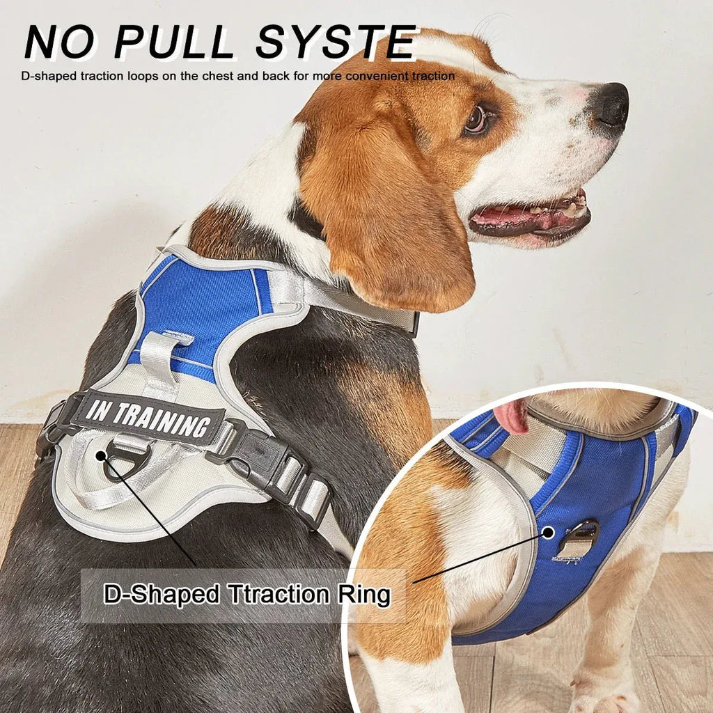 Dog Harness No Pull - Happy Tails - paws & love