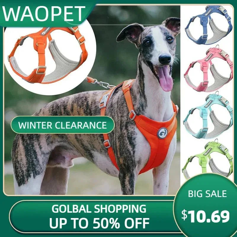 Adjustable Pet Harness - Happy Tails - paws & love