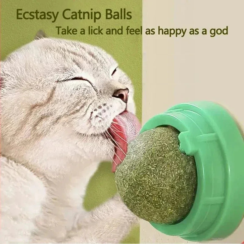 Cat Scratching Ball - Happy Tails - paws & love